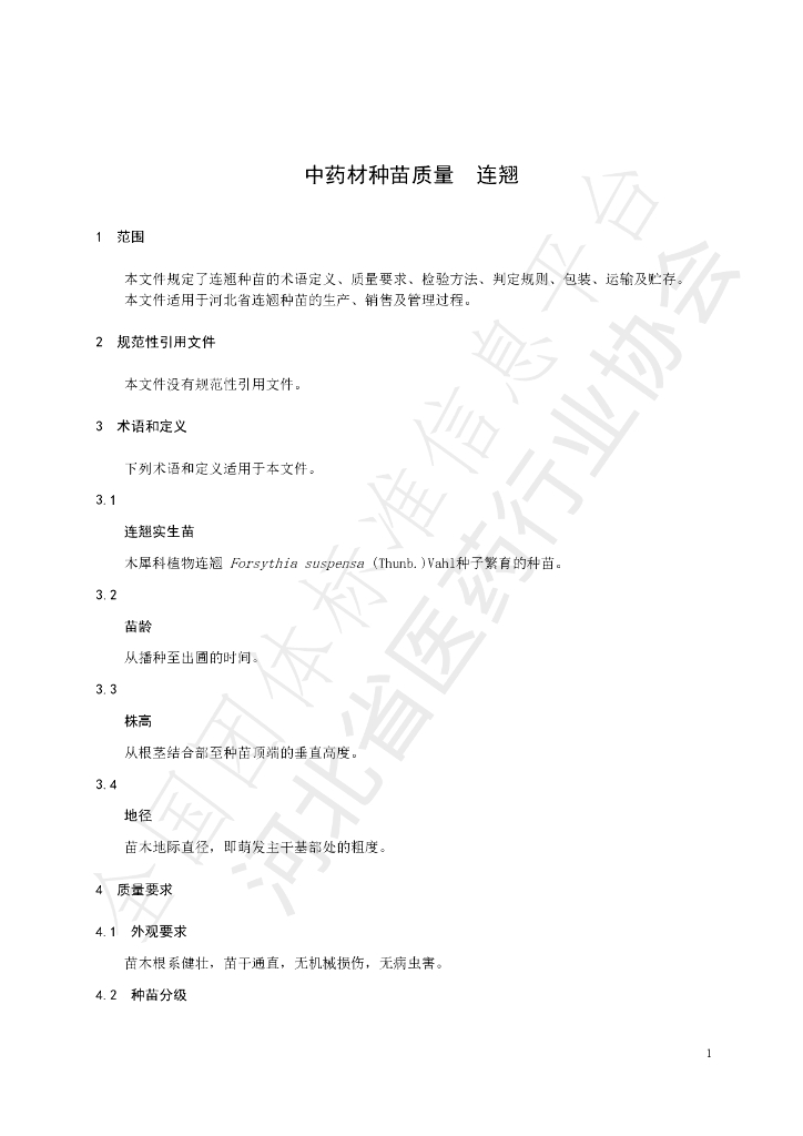 T/HBYY 0032-2023 标准预览