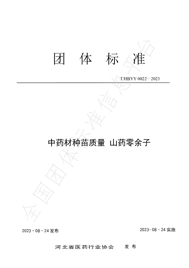 T/HBYY 0022-2023 标准预览