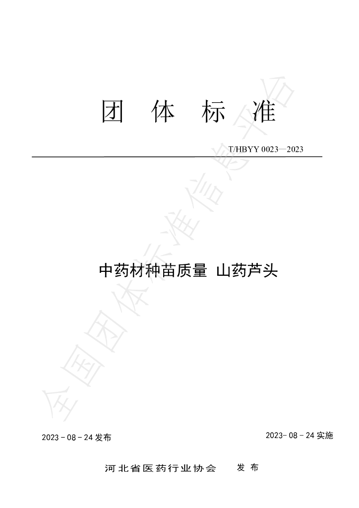 T/HBYY 0023-2023 标准预览