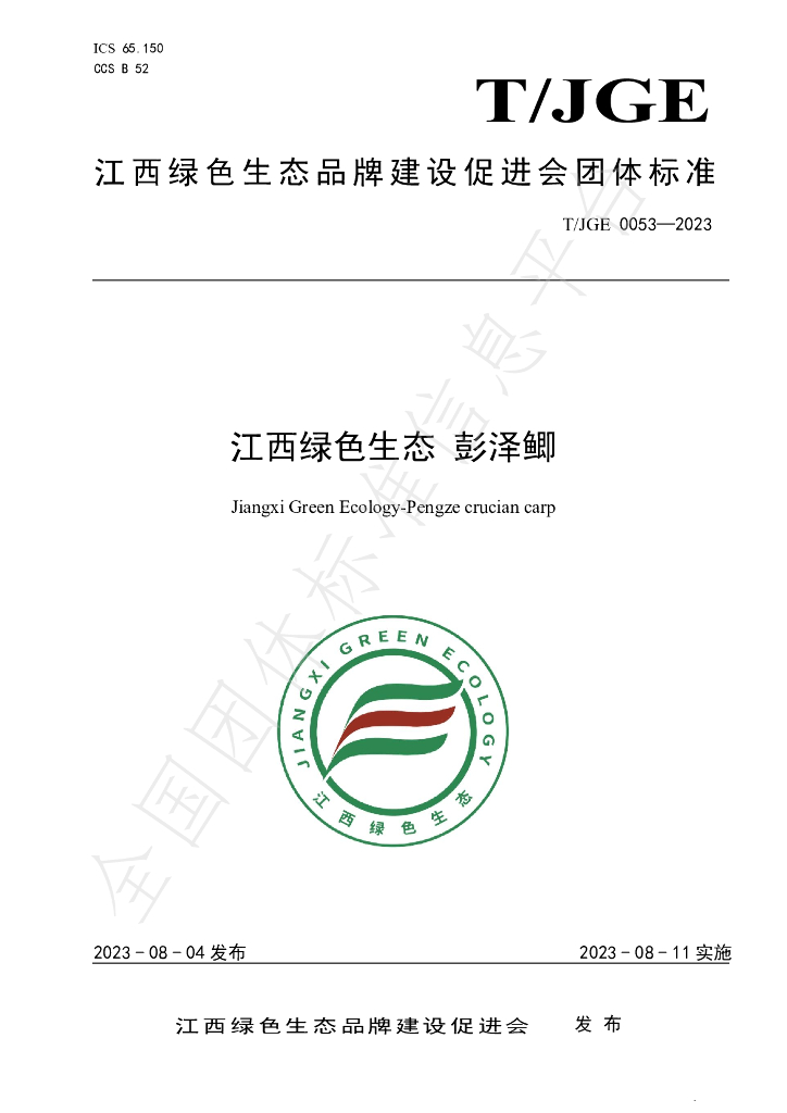 T/JGE 0053-2023 标准预览