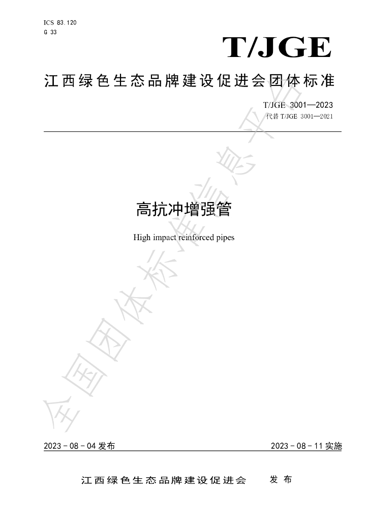 T/JGE 3001-2023 标准预览