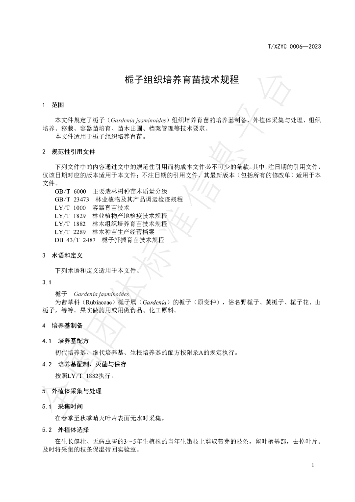 T/XZYC 0006-2023 标准预览
