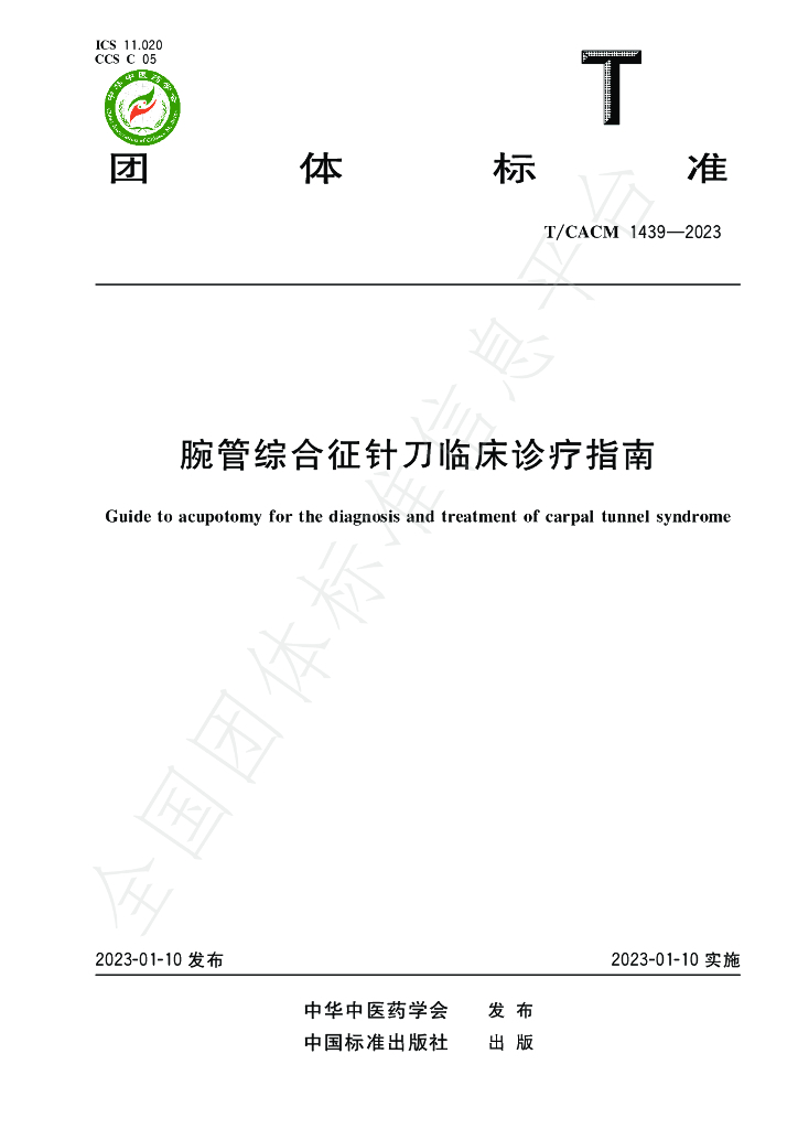 T/CACM 1439-2023 标准预览