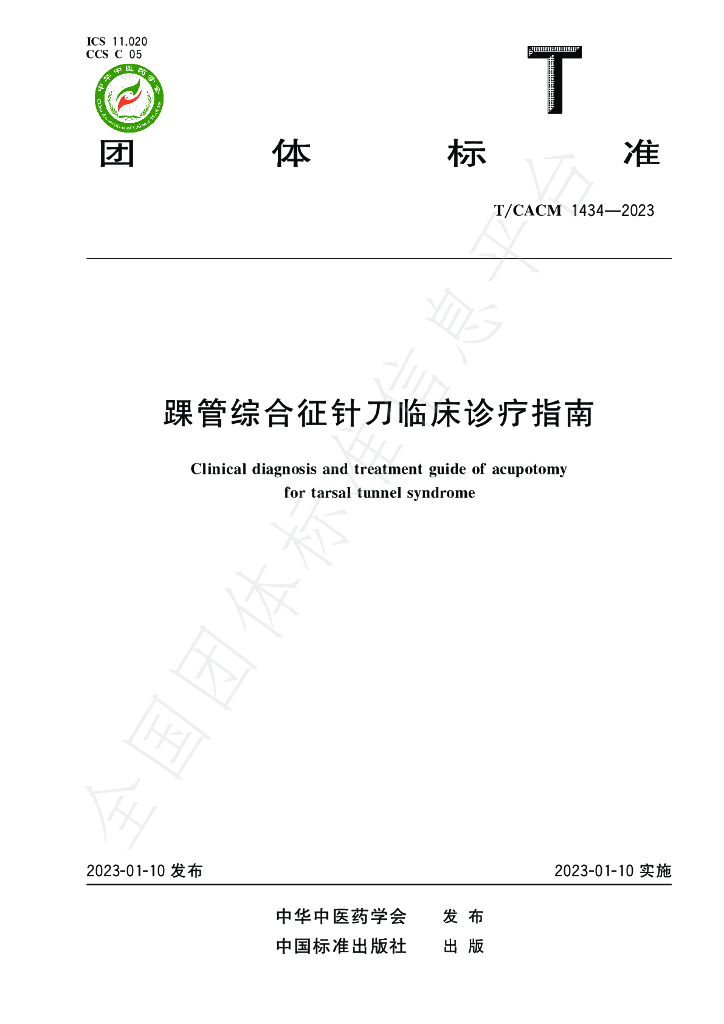 T/CACM 1434-2023 标准预览