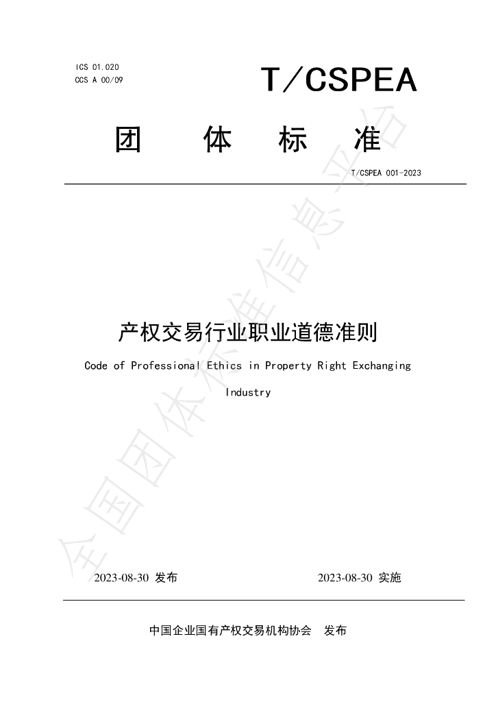 T/CSPEA 001-2023 标准预览