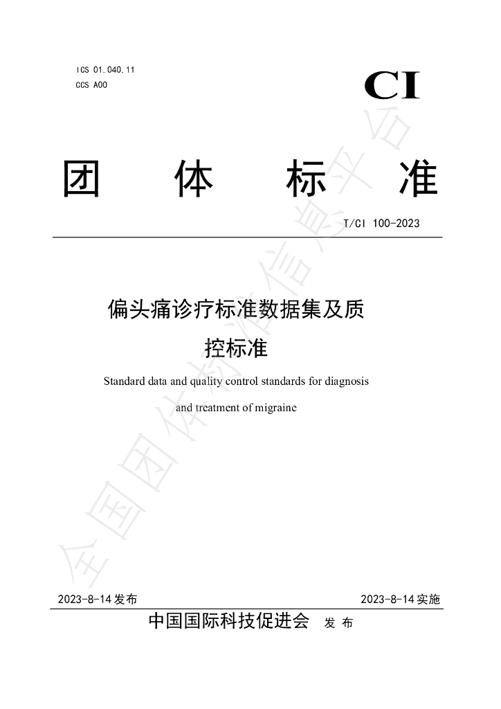 T/CI 100-2023 标准预览