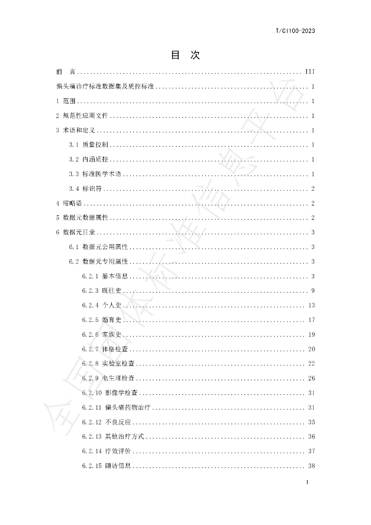 T/CI 100-2023 标准预览