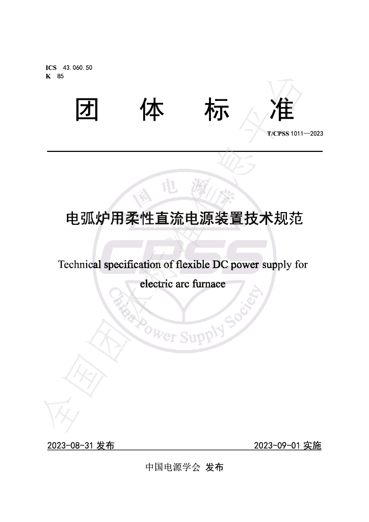 T/CPSS 1011-2023 标准预览