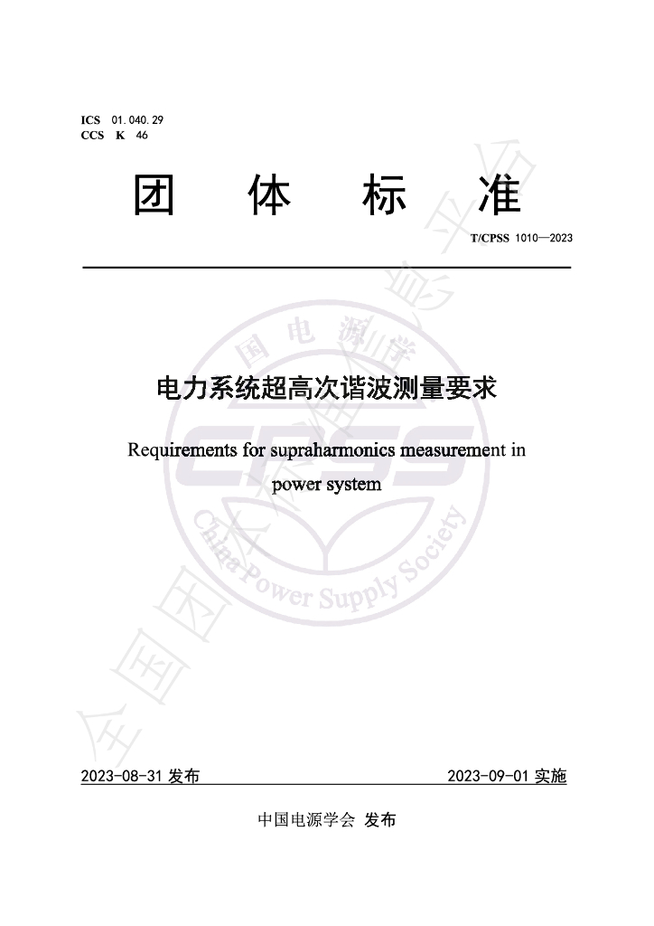 T/CPSS 1010-2023 标准预览