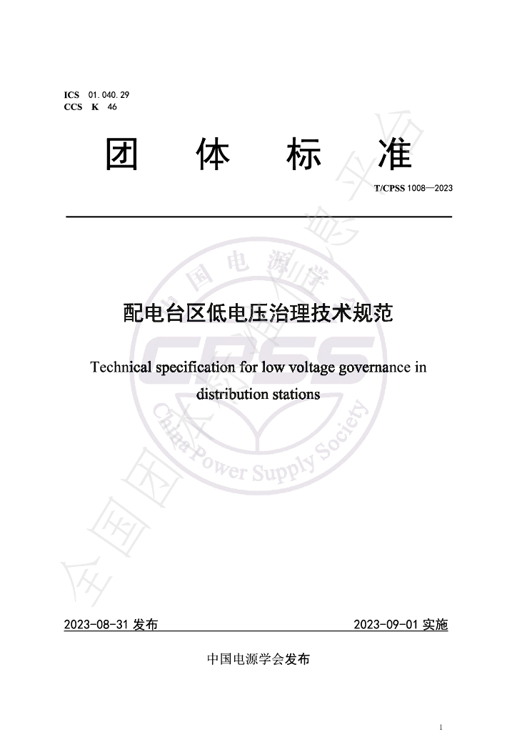 T/CPSS 1008-2023 标准预览