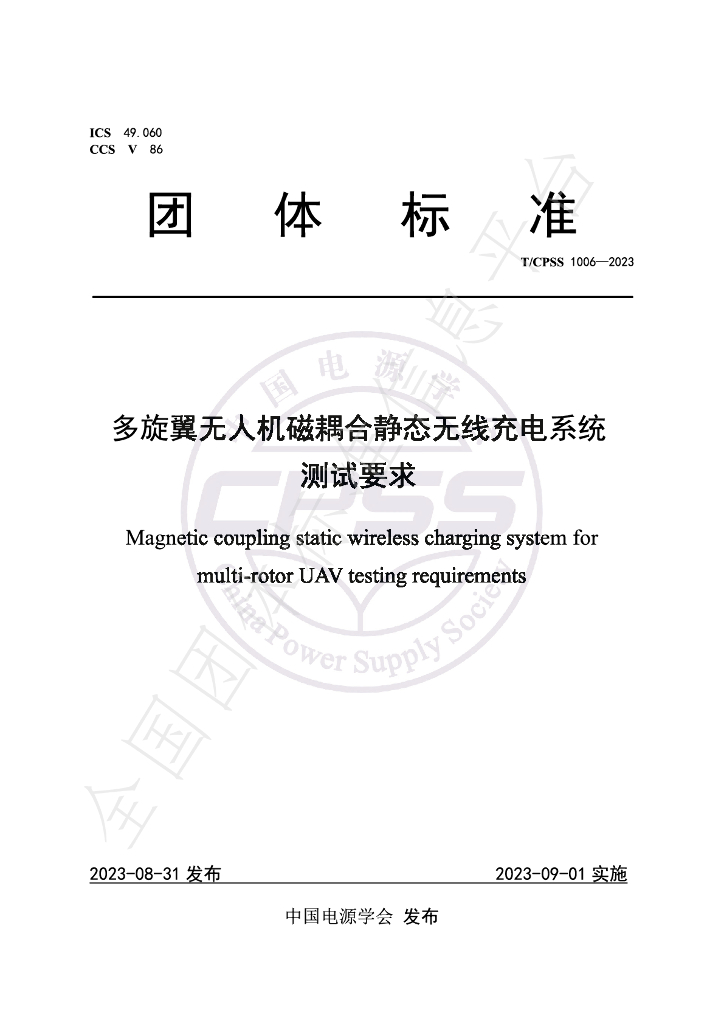 T/CPSS 1006-2023 标准预览
