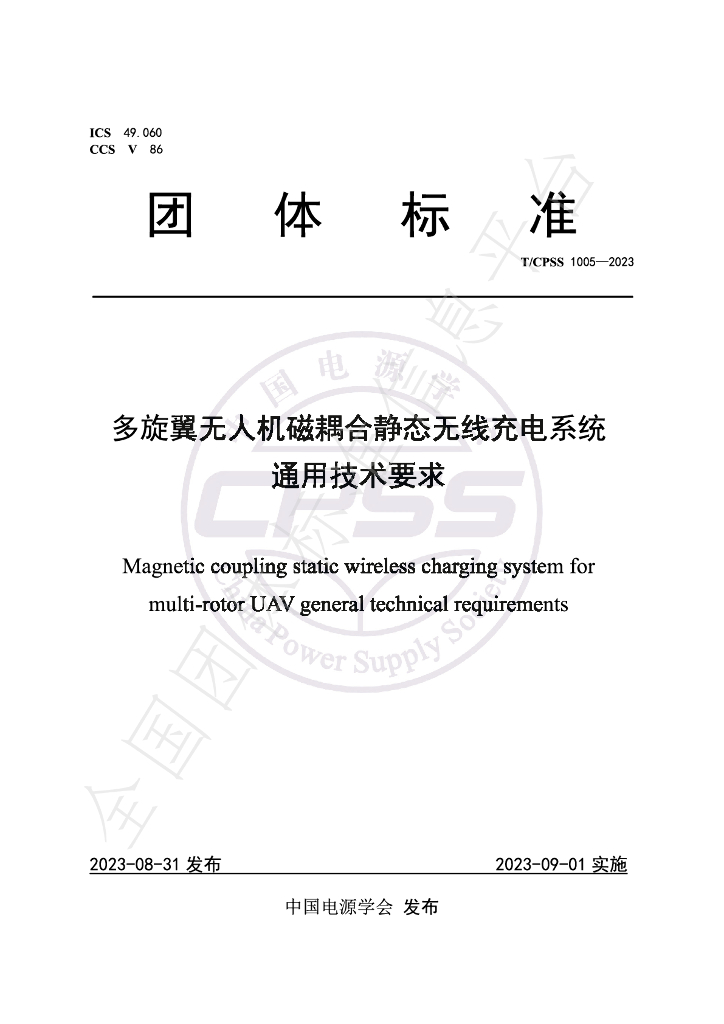 T/CPSS 1005-2023 标准预览