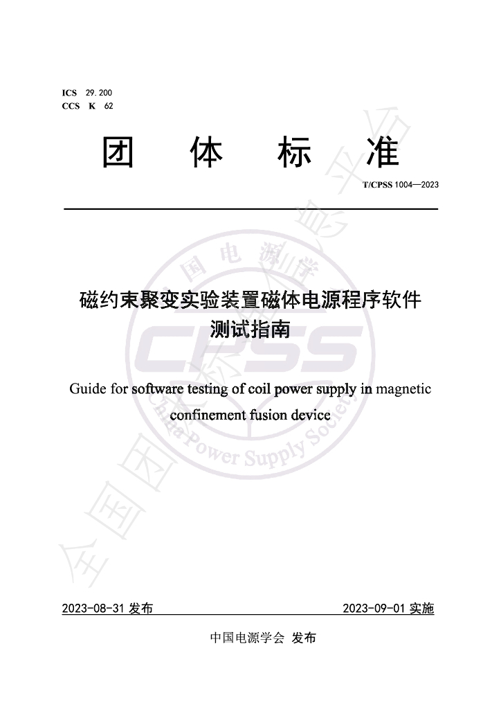 T/CPSS 1004-2023 标准预览