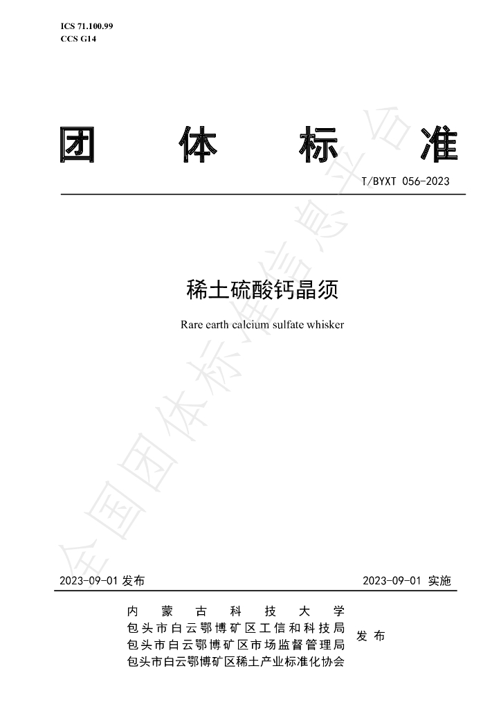 T/BYXT 056-2023 标准预览
