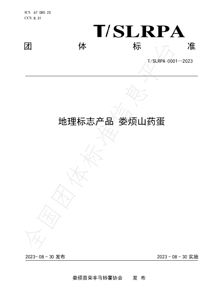 T/SLRPA 0001-2023 标准预览