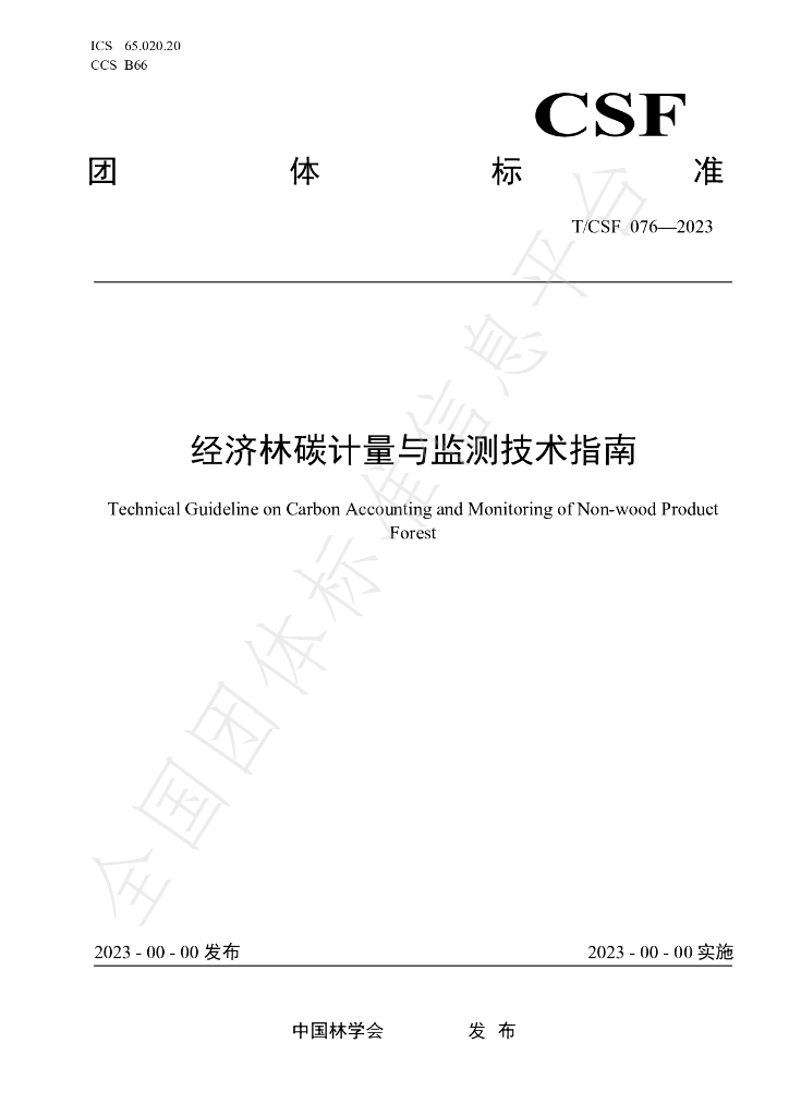 T/CSF 076-2023 标准预览