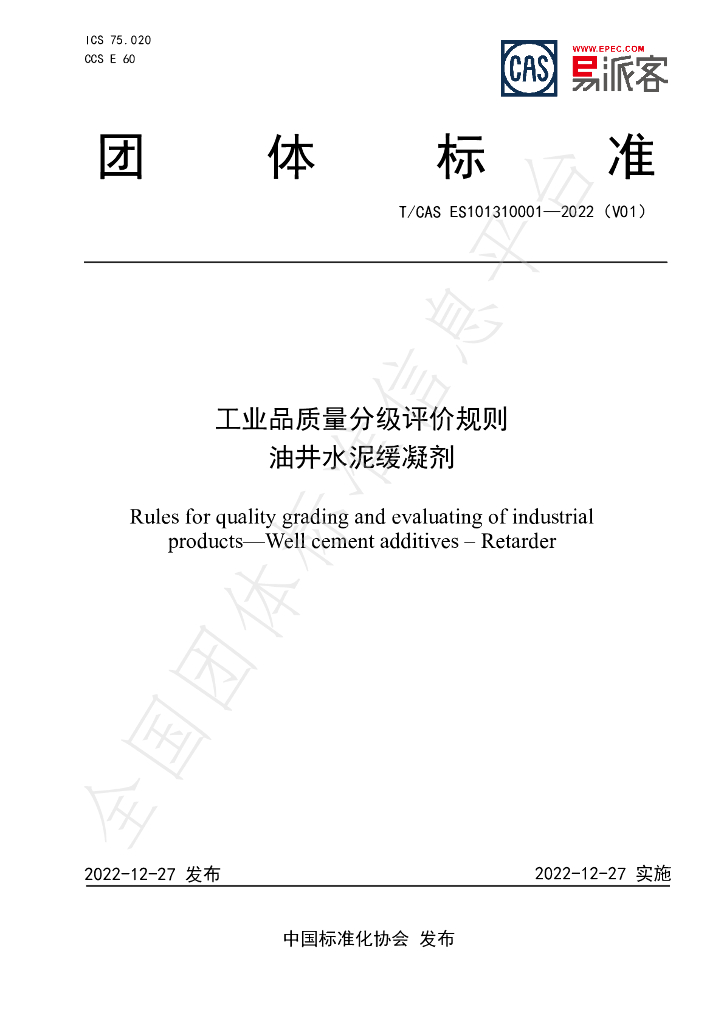 T/CAS ES101310001-2022 标准预览