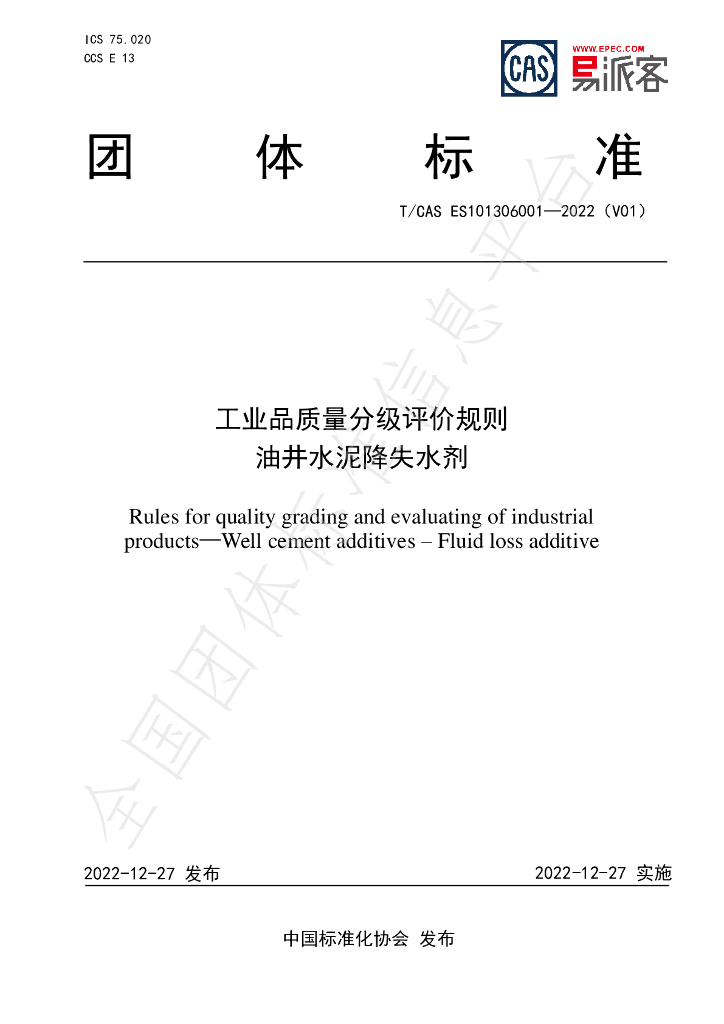 T/CAS ES101306001-2022 标准预览