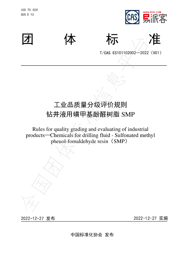 T/CAS ES101102002-2022 标准预览