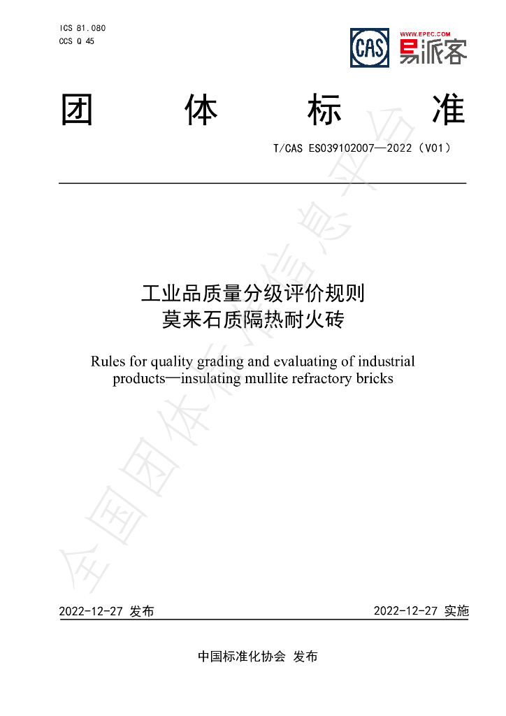 T/CAS ES039102007-2022 标准预览