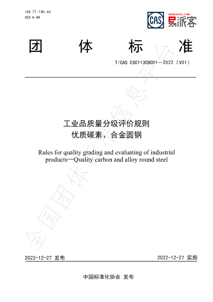 T/CAS ES011308001-2022 标准预览