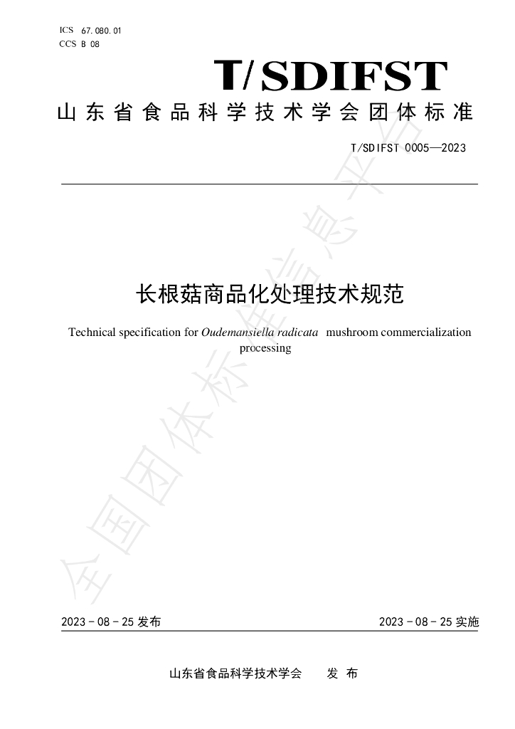 T/SDIFST 0005-2023 标准预览