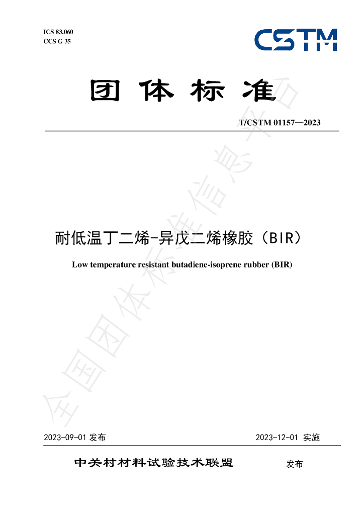 T/CSTM 01157-2023 标准预览