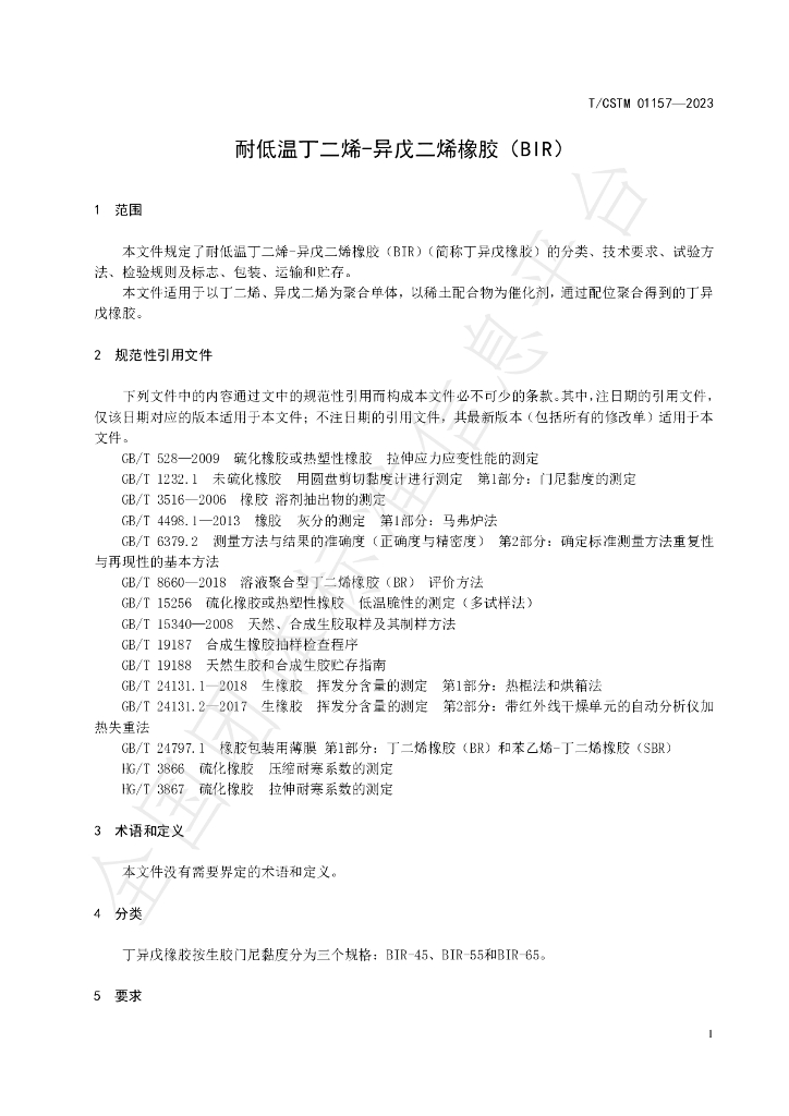 T/CSTM 01157-2023 标准预览