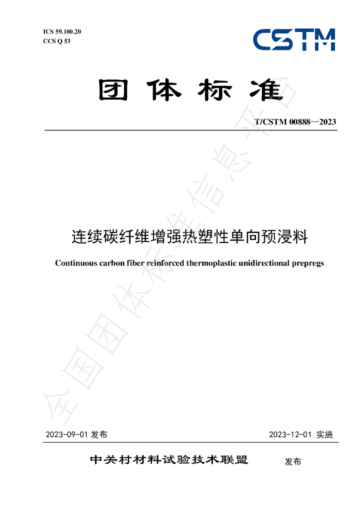 T/CSTM 00888-2023 标准预览