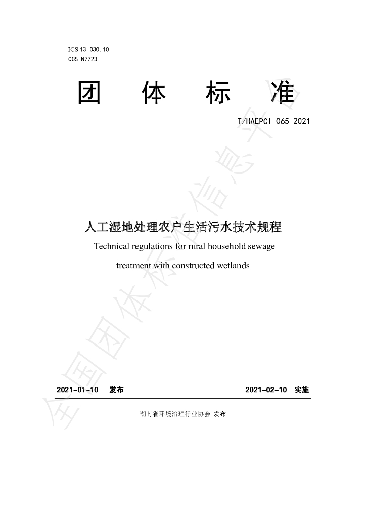 T/HAEPCI 065-2021 标准预览
