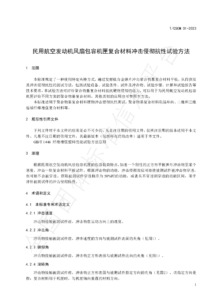 T/CSCM 01-2023 标准预览