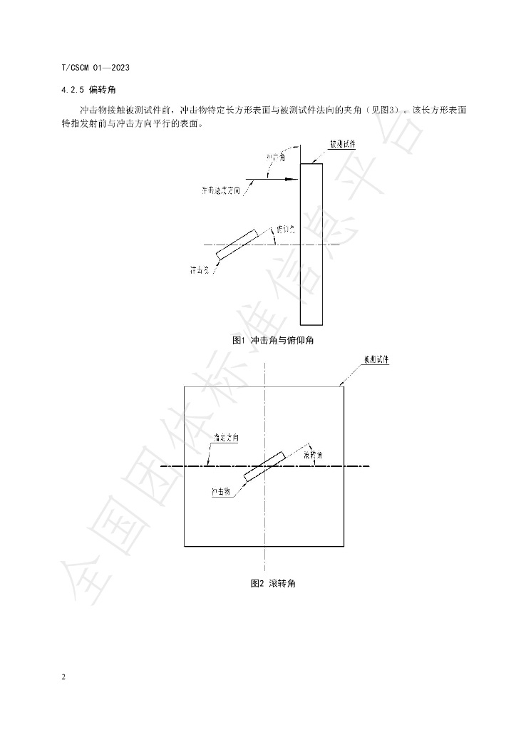 T/CSCM 01-2023 标准预览