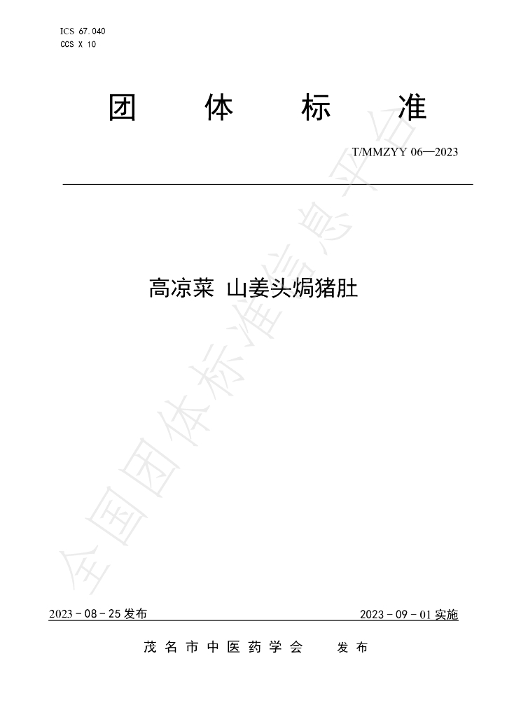 T/MMZYY 06-2023 标准预览