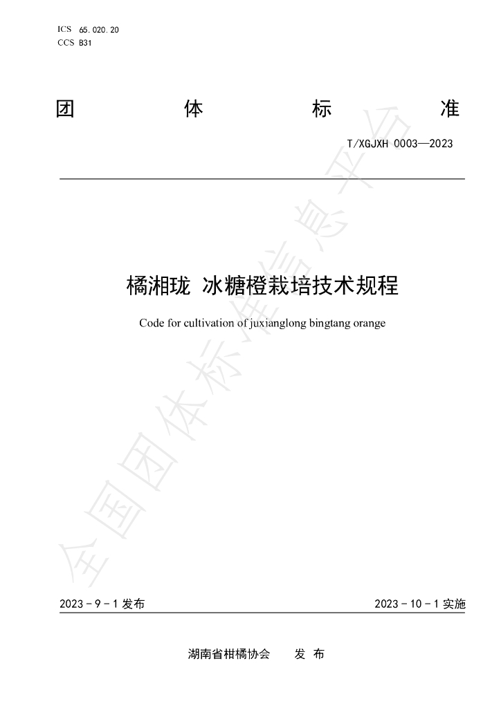T/HNSGJXH 0003-2023 标准预览