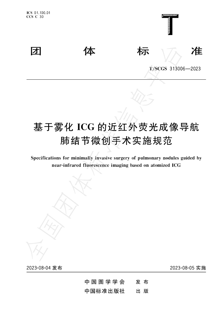 T/SCGS 313006-2023 标准预览