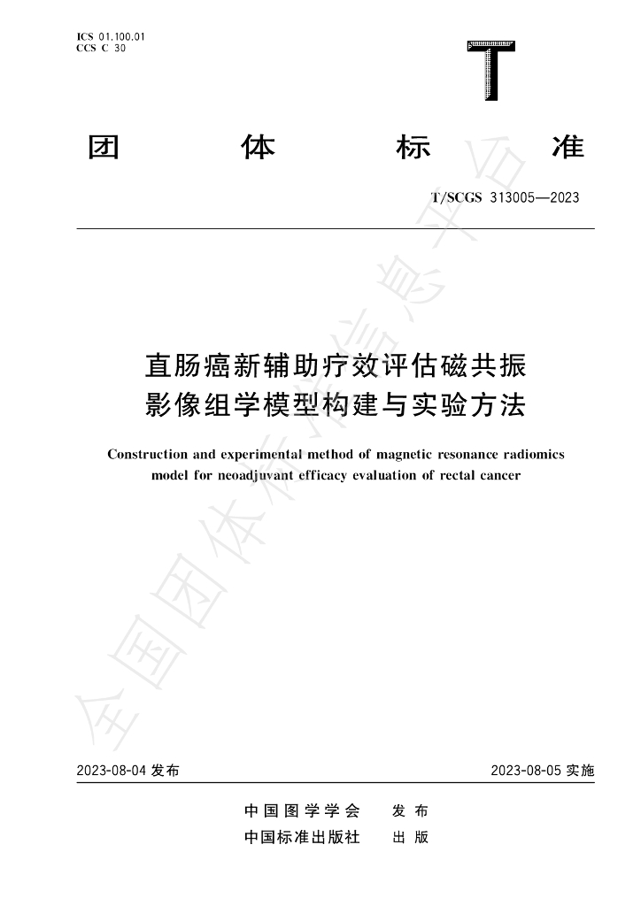 T/SCGS 313005-2023 标准预览