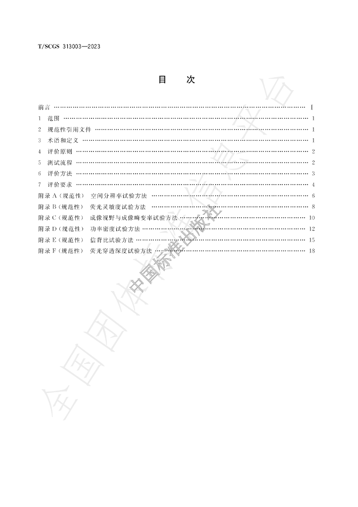 T/SCGS 313003-2023 标准预览