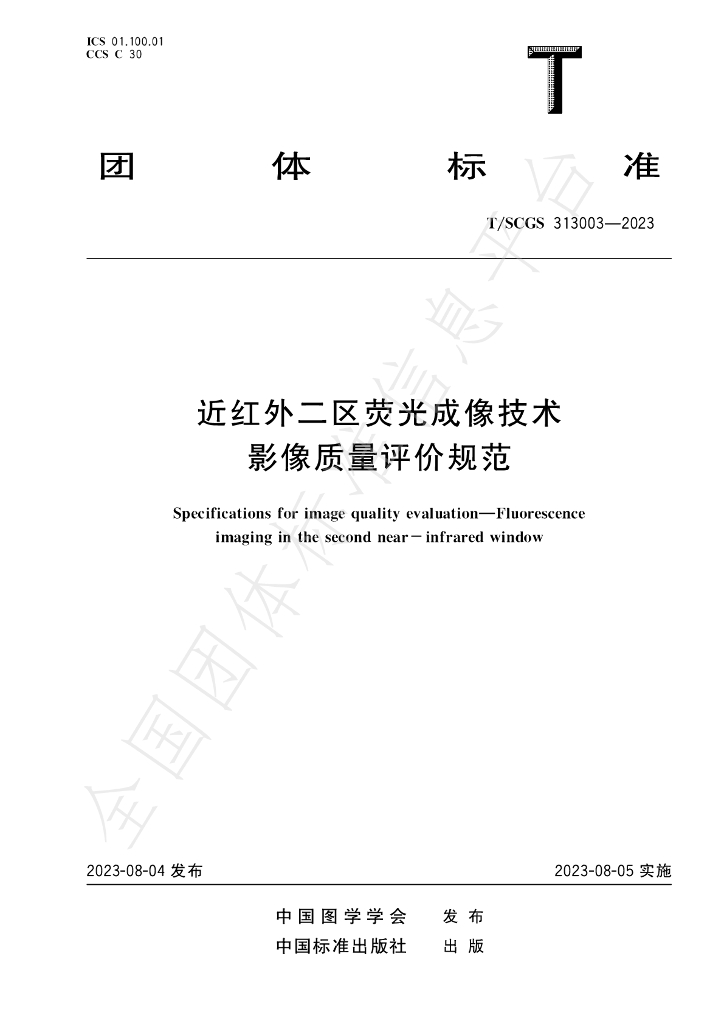 T/SCGS 313003-2023 标准预览