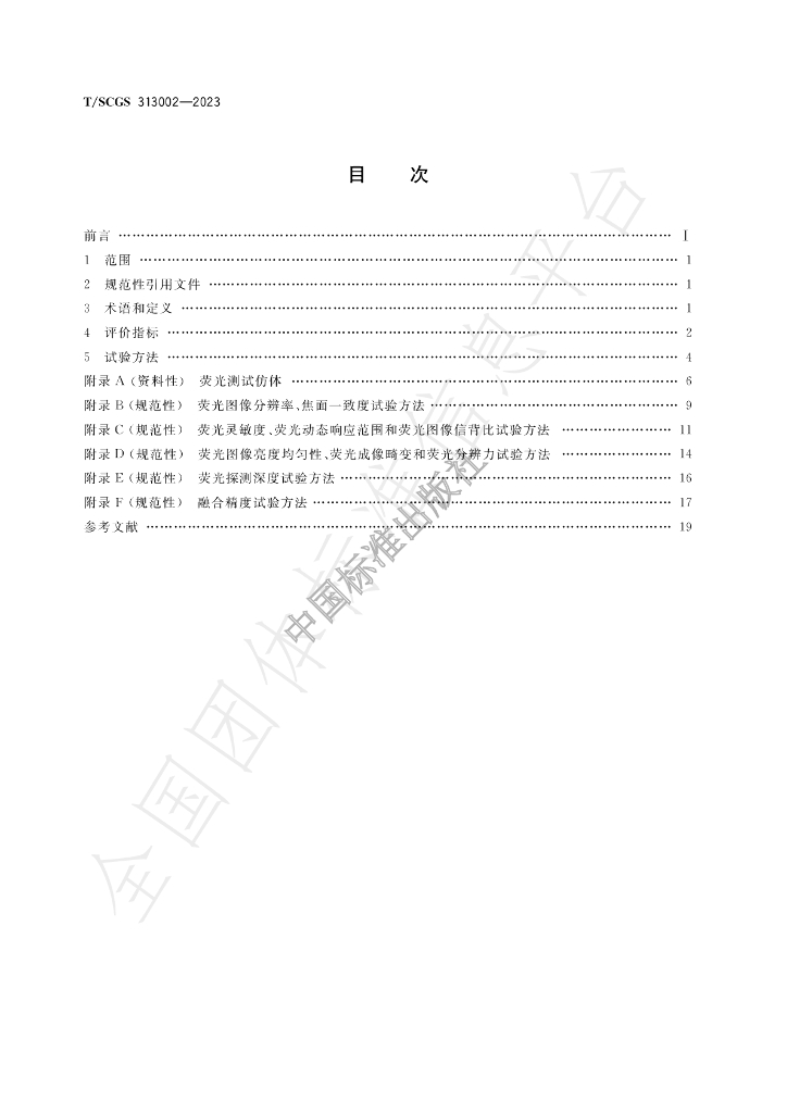 T/SCGS 313002-2023 标准预览