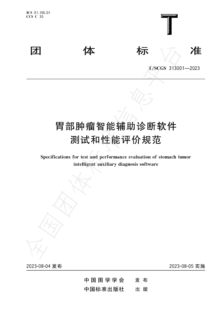T/SCGS 313001-2023 标准预览