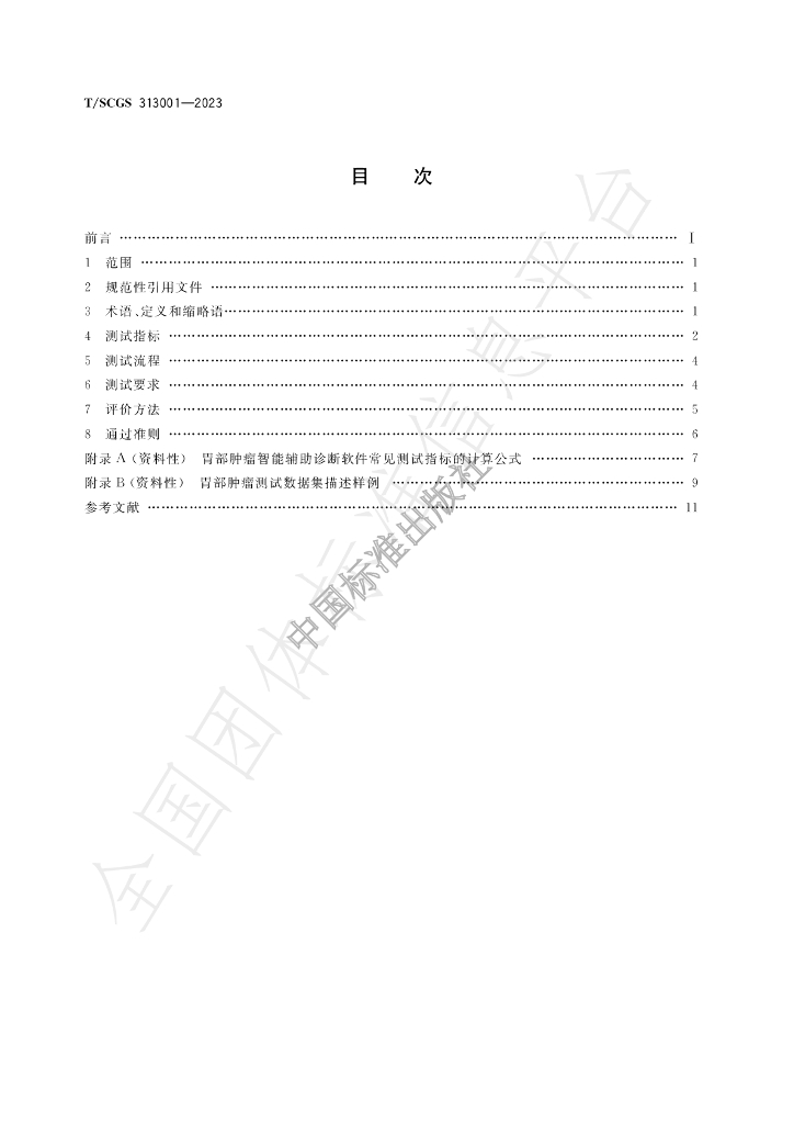 T/SCGS 313001-2023 标准预览
