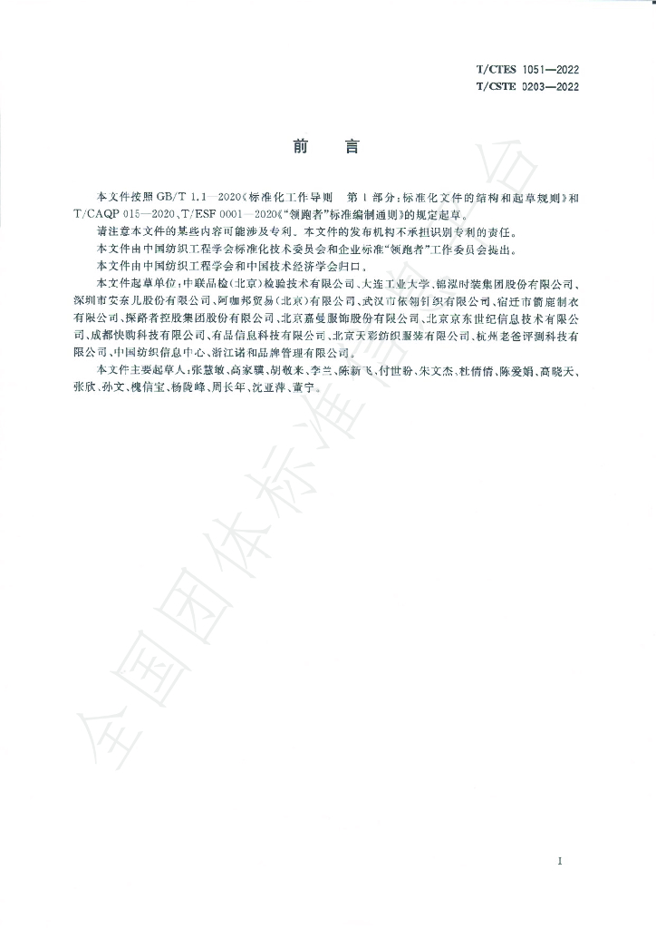 T/CTES 1051-2022 标准预览