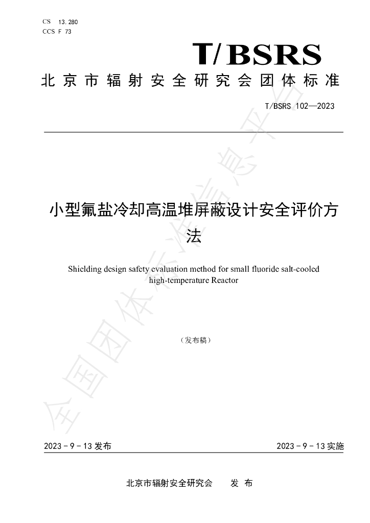T/BSRS 102-2023 标准预览