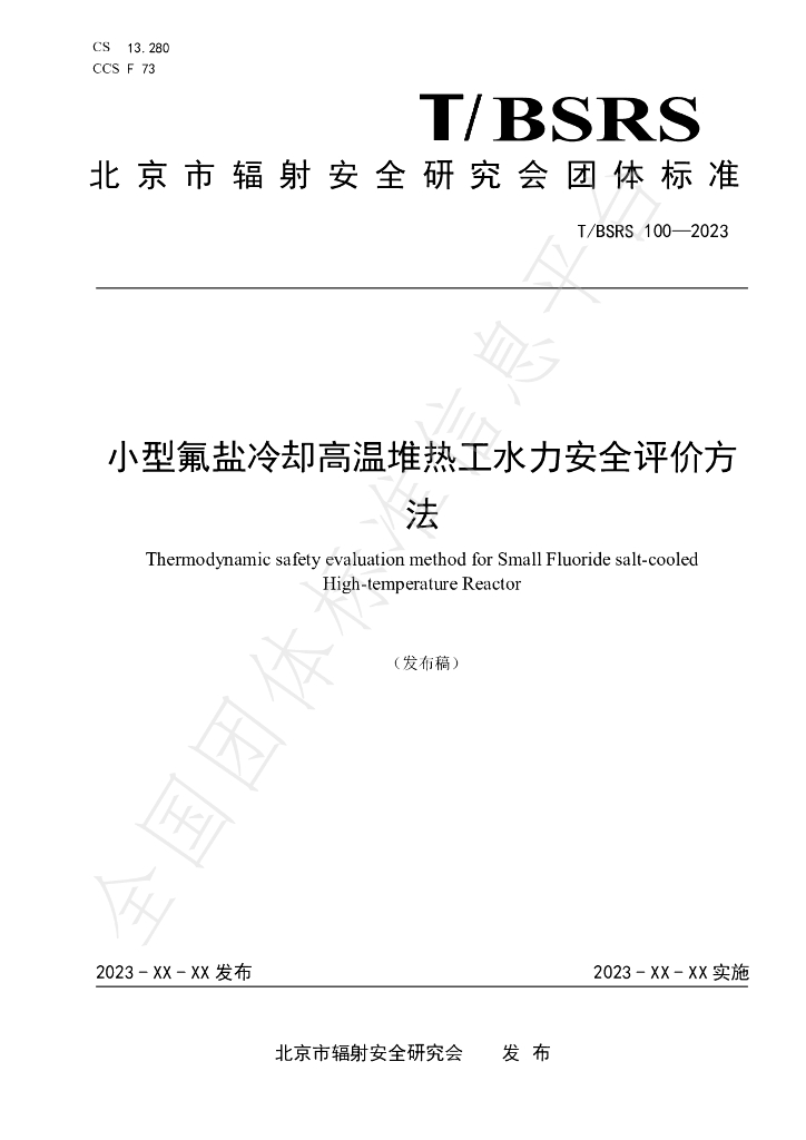 T/BSRS 100-2023 标准预览