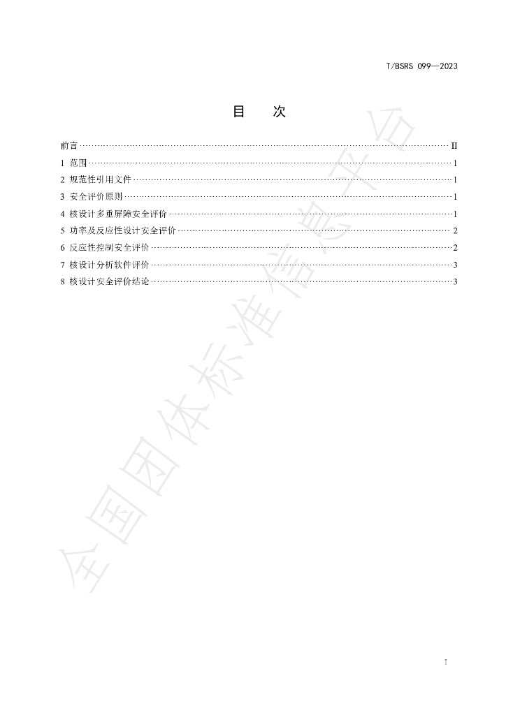 T/BSRS 099-2023 标准预览