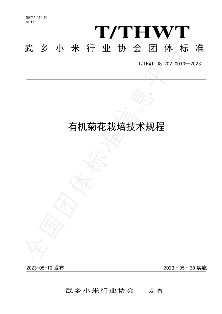 T/THWT JS2020010-2023 标准预览