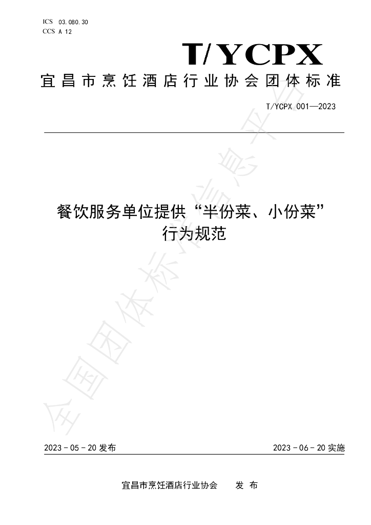 T/YCPX 001-2023 标准预览
