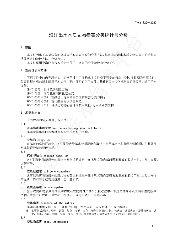 T/CI 125-2023 标准预览