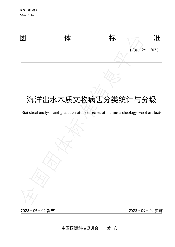T/CI 125-2023 标准预览