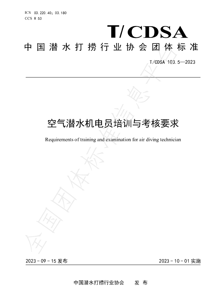 T/CDSA 103.5-2023 标准预览